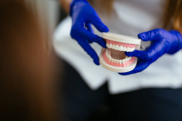 Best Traditional Braces  in Apple Creek, OH