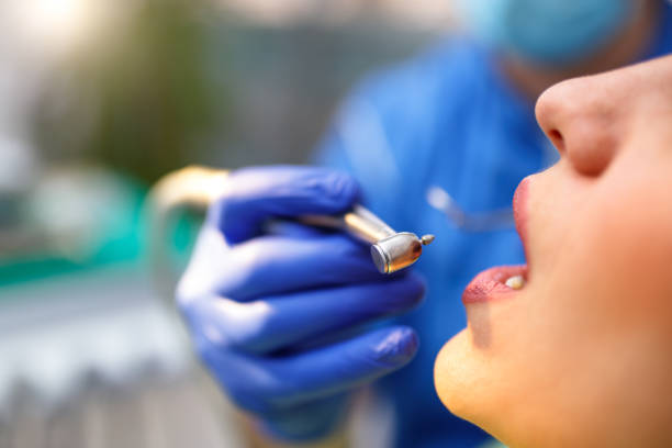 Reliable Apple Creek, OH Holistic Dental Care Services Solutions